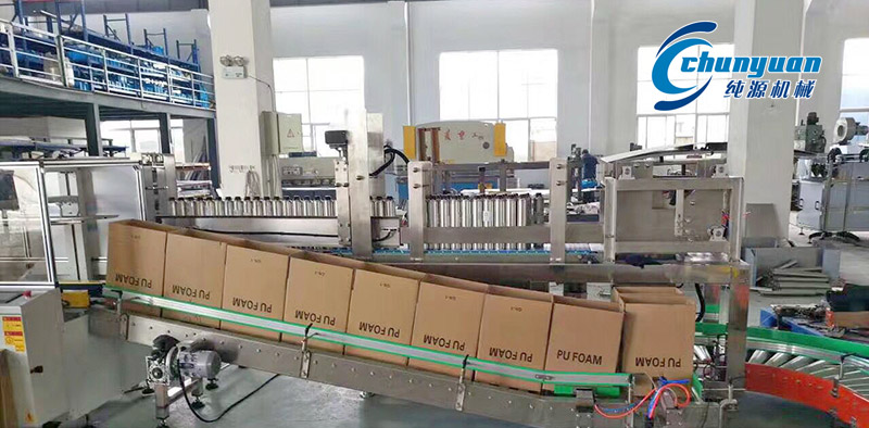 裝箱機(jī)，挑選裝箱機(jī)，純源裝箱機(jī)，純源機(jī)械